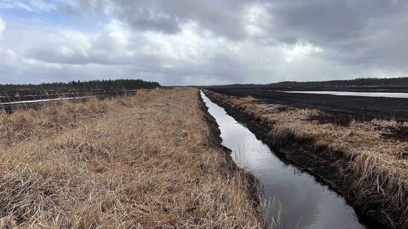 Kauhajoelle aurinko- ja tuulivoimapuisto vahvistamaan Etelä-Pohjanmaan energiaomavaraisuutta